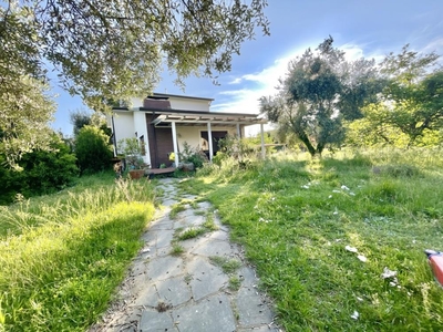 villa indipendente in vendita a Pietrasanta