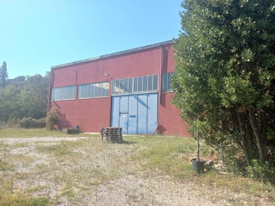 capannone industriale in vendita a Acquaviva Picena