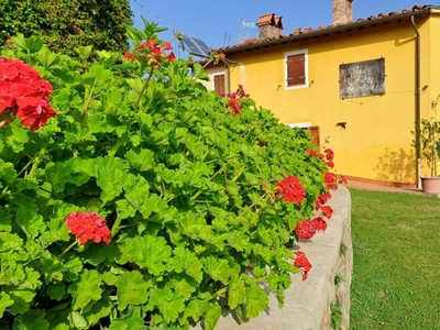 rustico / casale in vendita a Vicchio