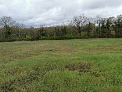 Terreno Agricolo in vendita, Colle di Val d'Elsa quartaia