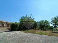 Azienda Agricola in vendita a Silvi c.Da Gaudiosi,