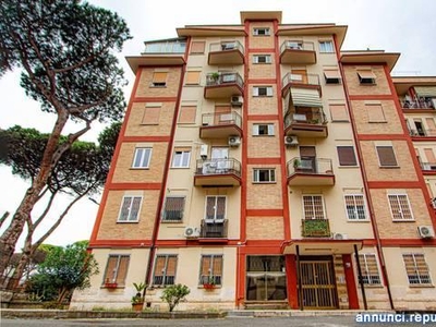 Appartamenti Roma Via Ferdinando Acton 21 cucina: Abitabile,