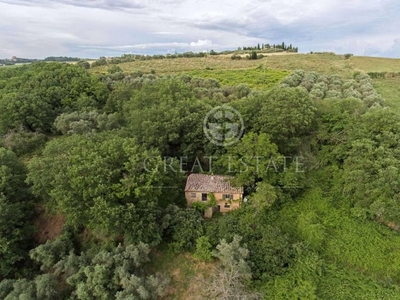 Lussuoso casale in vendita Pienza, Toscana