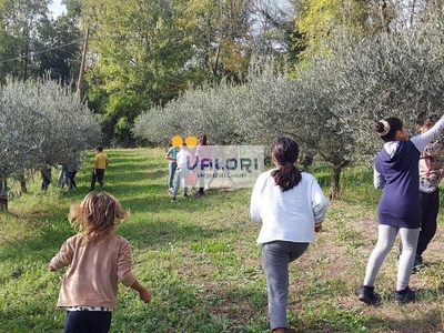 terreno agricolo in vendita a Faenza