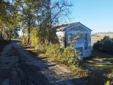 Vendita Casa indipendente Morro d'Alba