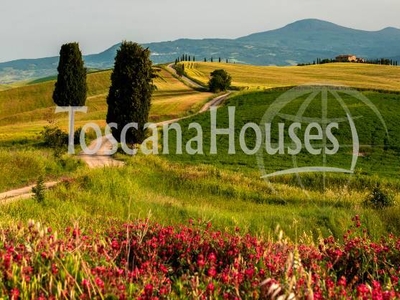 Asciano - Crete Senesi: Splendido Casale Panoramico con Terreno in Vendita