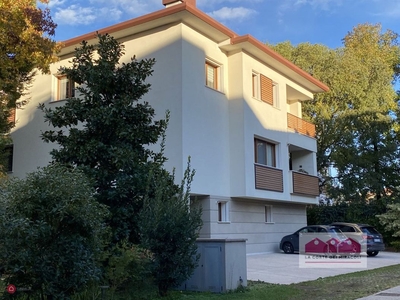 Casa Bi/Trifamiliare in Vendita in Borgo Casale a Vicenza