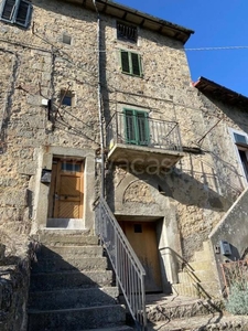Casa Indipendente in in vendita da privato ad Abbadia San Salvatore via Carlo Alberto, 41