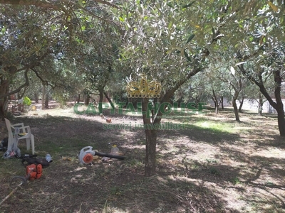 Terreno agricolo in Vendita a Caserta, zona Sala, 43'000€, 904 m²