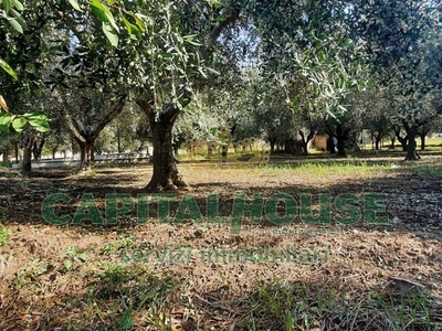 Terreno agricolo in Vendita a Caserta, zona ZONA MERCATO, 73'000€, 1445 m²