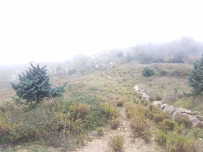 Terreno Agricolo in vendita a Monreale