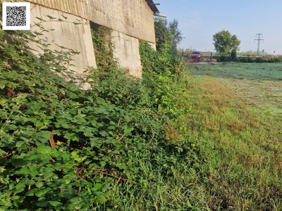 Terreno in vendita, Cassano d'Adda cascine san pietro