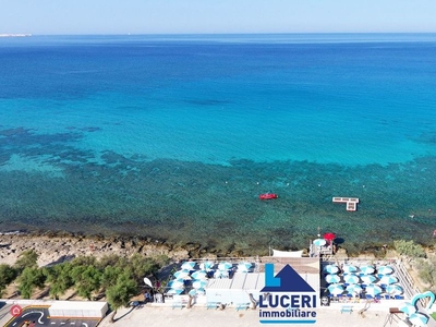 Albergo in Vendita in Via Consalvo di Cordova a Gallipoli