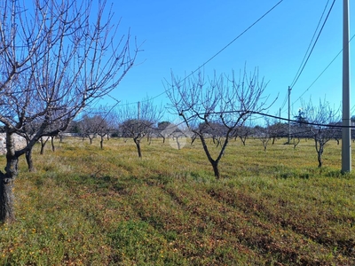 Ter. agricolo in vendita