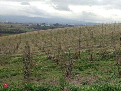 Terreno agricolo in Vendita in Strada Tuscanese a Viterbo