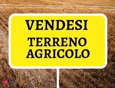 Terreno agricolo in Vendita in Via Gonzaga 4 a a Guastalla