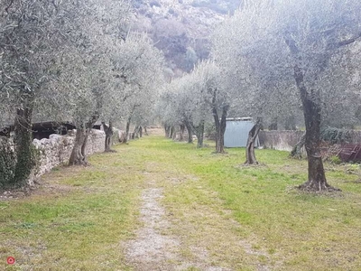 Terreno agricolo in Vendita in Via Navene Vecchia a Malcesine