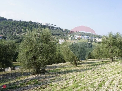 Terreno agricolo in Vendita in Via Santa Margherita a Vieste