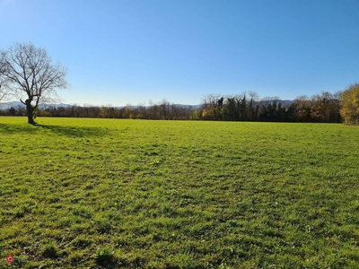 Terreno agricolo in Vendita in Via Cappuccini 109 a Thiene