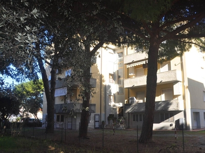 Trilocale in Via Gobetti 11 in zona Vada a Rosignano Marittimo