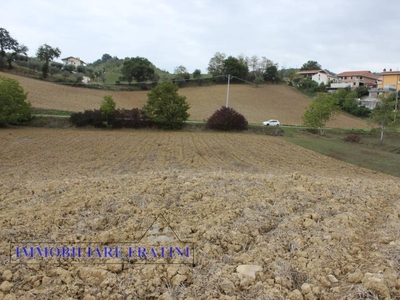 terreno agricolo in vendita a Tossicia
