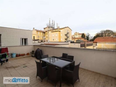 Appartamento arredato con terrazzo Mantova