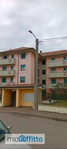 Bilocale arredato Busto Arsizio