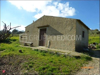 Cantina/Solaio in Vendita in Piazza Vittorio Veneto a Roccapalumba