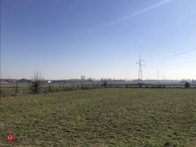 Terreno agricolo in Vendita in Via San Marco a Isola Vicentina