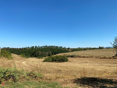 Terreno agricolo in Vendita in Via Vallelata a Aprilia