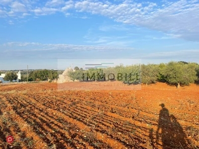 Terreno edificabile in Vendita in Strada carpari a Martina Franca