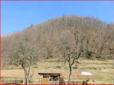 Terreno edificabile in Vendita in Via Pra a Valli del Pasubio