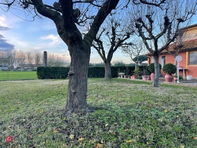 Villa in Vendita in Via Edmondo de Amicis Arena Metato 52 a San Giuliano Terme