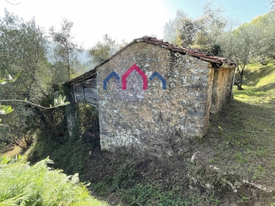 Rustico da ristrutturare, Borgo a Mozzano cune