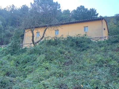 Rustico ristrutturato, San Giuliano Terme asciano