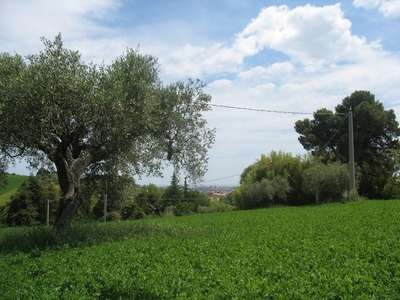 Terreno in vendita, Spoltore villa raspa