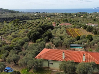 Esclusiva villa in vendita strada vicinale sa londra , 26, Alghero, Sardegna