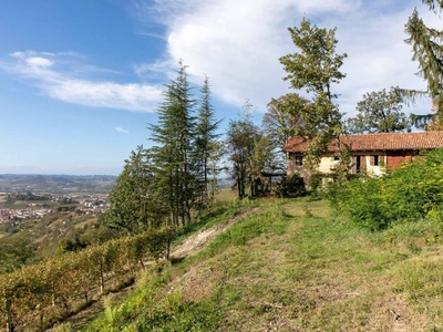 Lussuoso casale in vendita Strada Antiche Serre, Alba, Piemonte