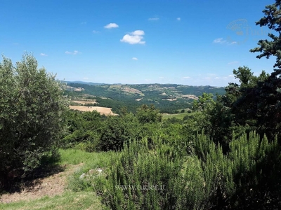 Lussuoso casale in vendita Strada Provinciale di Vibio, Monte Castello di Vibio, Perugia, Umbria