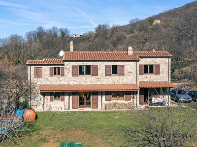 Lussuoso casale in vendita Strada Provinciale Selvena, Sorano, Toscana
