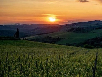 Lussuoso casale in vendita Traversa del chianti, Radda in Chianti, Toscana