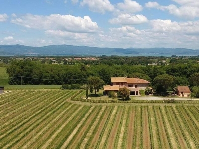 Lussuoso casale in vendita via delle querce, Castiglione del Lago, Perugia, Umbria