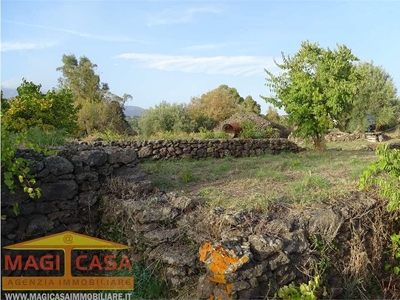 Vendita Terreno Agricolo Mascalucia