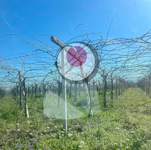 Terreno in vendita a Lanciano