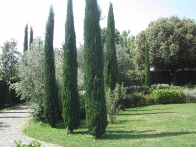 Villa in vendita a Capannori via Ilio Menicucci