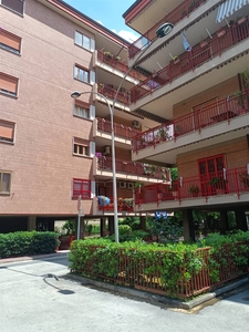 Appartamento in affitto a Caserta Caserta Ferrarecce - Acquaviva-lincoln