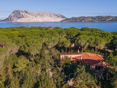 Esclusiva villa di 180 mq in vendita Capo Coda Cavallo, le Farfalle, San Teodoro, Sassari, Sardegna