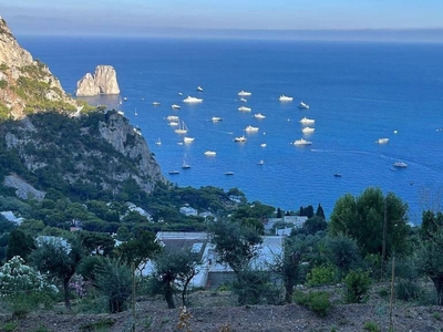 Terreno agricolo in vendita a Capri