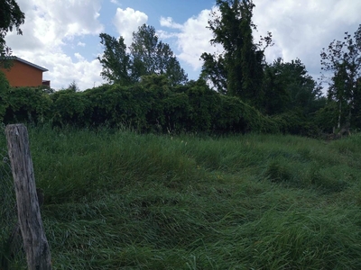 Terreno agricolo in vendita a Roma