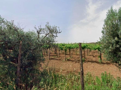 Terreno agricolo in vendita a Roma